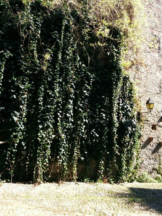 Ferienwohnung Honey House Parma Exterior foto